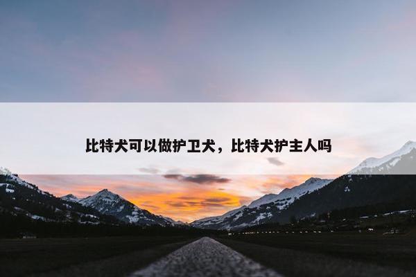 比特犬可以做护卫犬，比特犬护主人吗