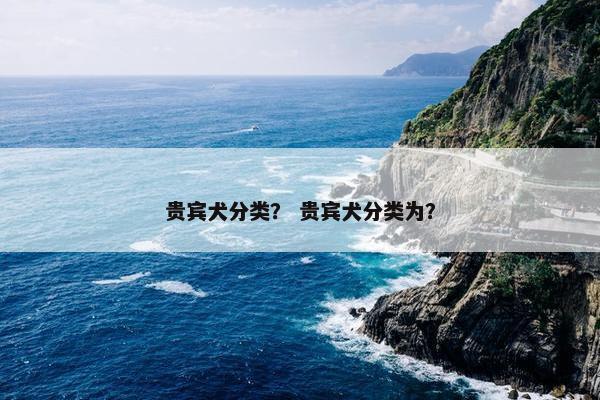 贵宾犬分类？ 贵宾犬分类为？