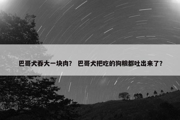 巴哥犬吞大一块肉？ 巴哥犬把吃的狗粮都吐出来了？