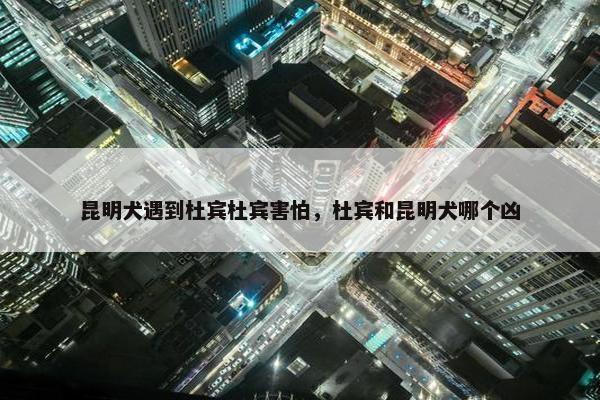 昆明犬遇到杜宾杜宾害怕，杜宾和昆明犬哪个凶