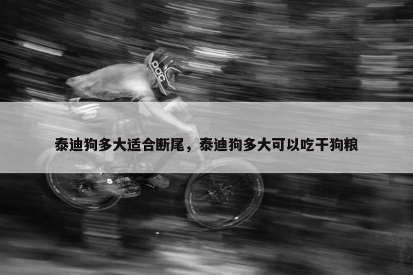 泰迪狗多大适合断尾，泰迪狗多大可以吃干狗粮