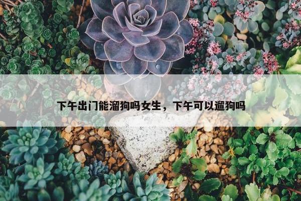 下午出门能溜狗吗女生，下午可以遛狗吗