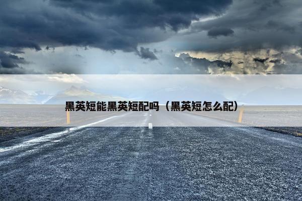黑英短能黑英短配吗（黑英短怎么配）