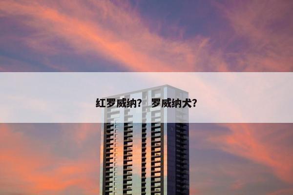 红罗威纳？ 罗威纳犬？