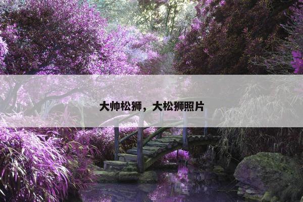 大帅松狮，大松狮照片