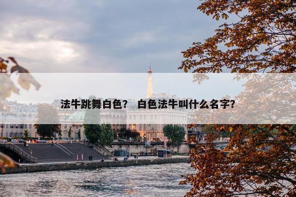 法牛 第28页