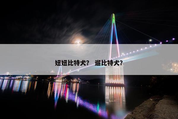 妞妞比特犬？ 遛比特犬？