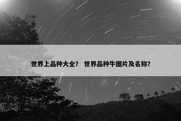 月季