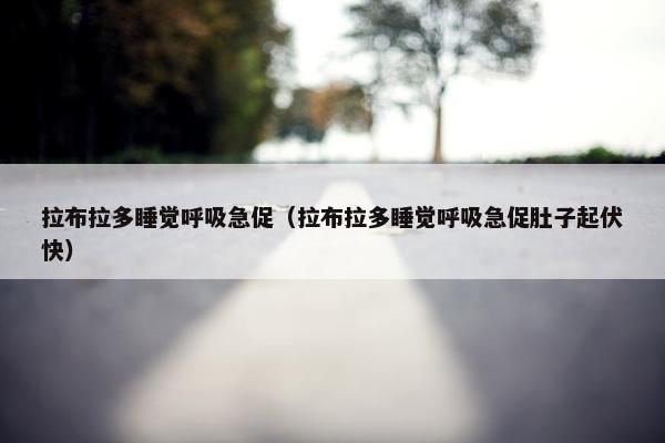 拉布拉多睡觉呼吸急促（拉布拉多睡觉呼吸急促肚子起伏快）