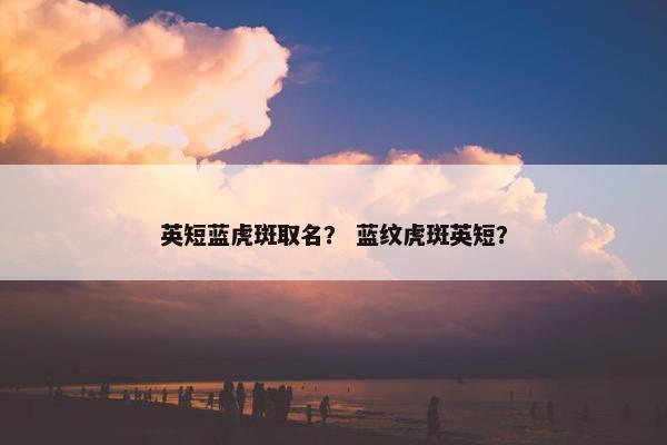 英短蓝虎斑取名？ 蓝纹虎斑英短？