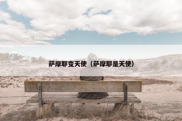 萨摩耶变天使（萨摩耶是天使）