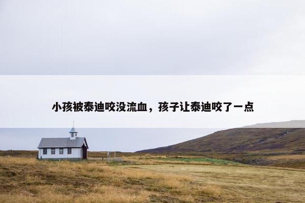 小孩被泰迪咬没流血，孩子让泰迪咬了一点