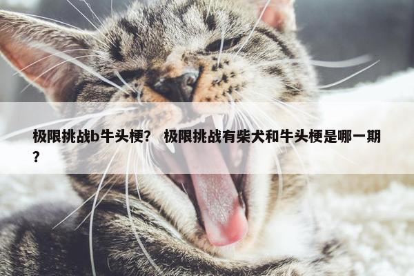 极限