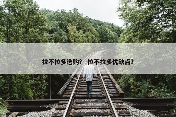 拉不拉多选购？ 拉不拉多优缺点？