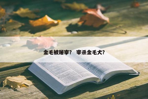 金毛被屠宰？ 宰杀金毛犬？
