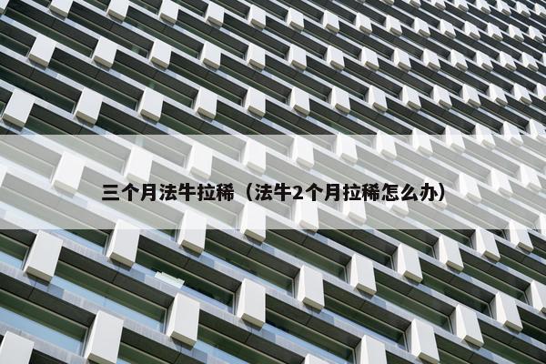 法牛 第11页