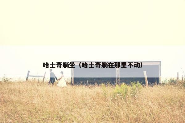 哈士奇躺坐（哈士奇躺在那里不动）