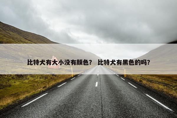 比特犬有大小没有颜色？ 比特犬有黑色的吗？