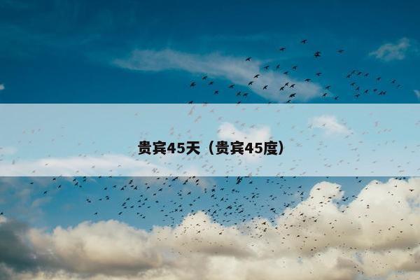 贵宾45天（贵宾45度）
