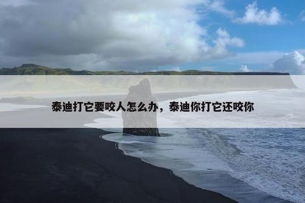 泰迪打它要咬人怎么办，泰迪你打它还咬你