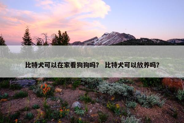 比特犬可以在家看狗狗吗？ 比特犬可以放养吗？