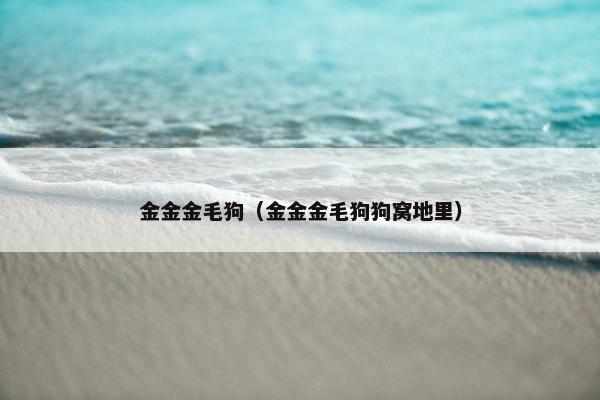 金金金毛狗（金金金毛狗狗窝地里）