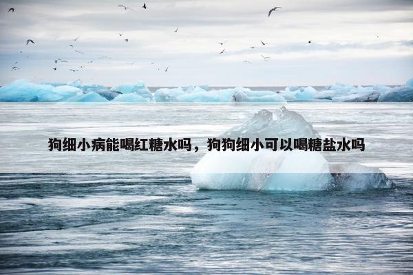 狗细小病能喝红糖水吗，狗狗细小可以喝糖盐水吗