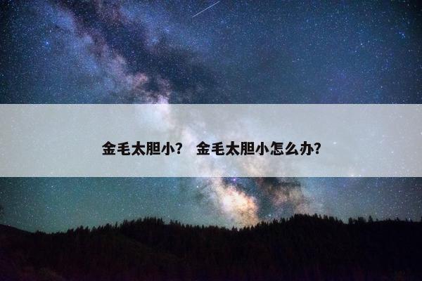 金毛太胆小？ 金毛太胆小怎么办？