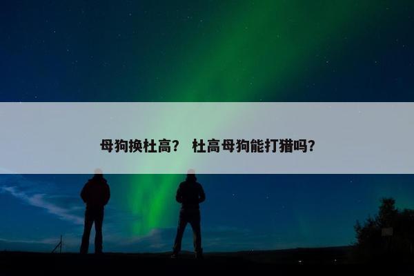 母狗换杜高？ 杜高母狗能打猎吗？