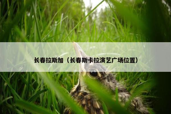 中国 第6页