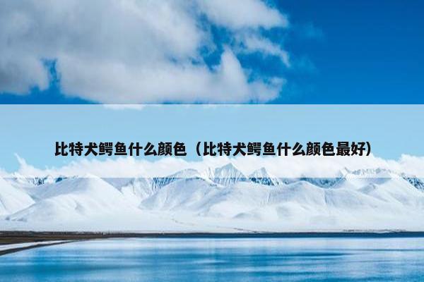 比特犬鳄鱼什么颜色（比特犬鳄鱼什么颜色最好）