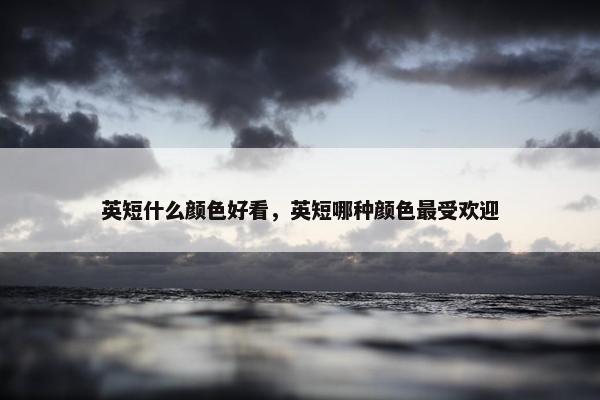 英短什么颜色好看，英短哪种颜色最受欢迎