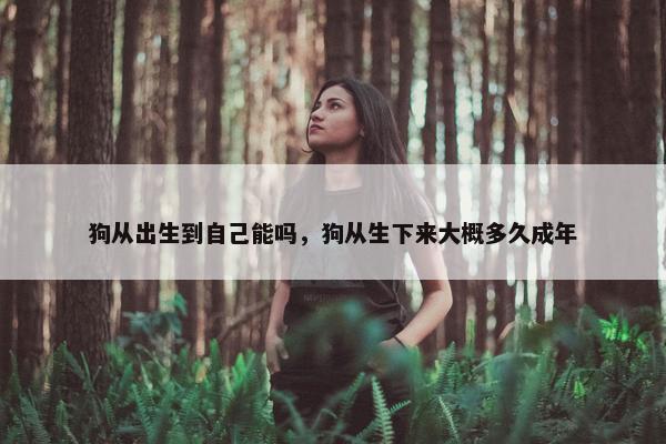 狗从出生到自己能吗，狗从生下来大概多久成年