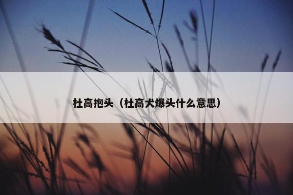 杜高抱头（杜高犬爆头什么意思）