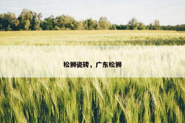松狮瓷砖，广东松狮
