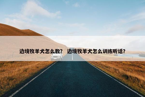 边境牧羊犬怎么教？ 边境牧羊犬怎么训练听话？