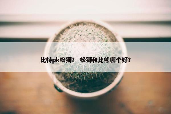 比特pk松狮？ 松狮和比熊哪个好？
