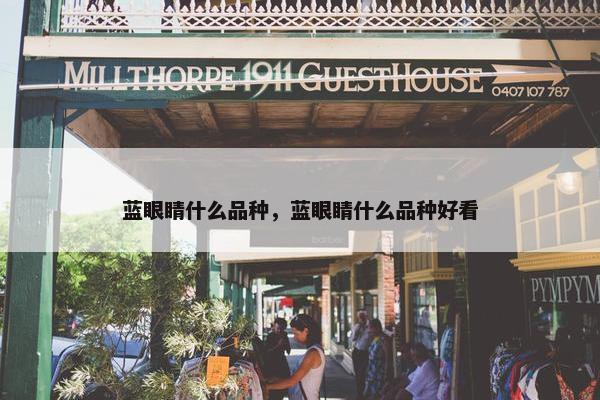 蓝眼睛什么品种，蓝眼睛什么品种好看