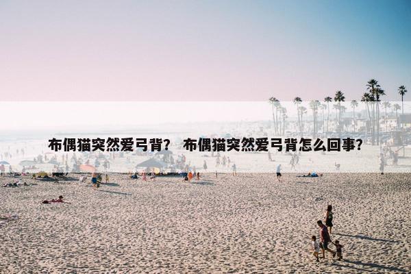 布偶猫突然爱弓背？ 布偶猫突然爱弓背怎么回事？
