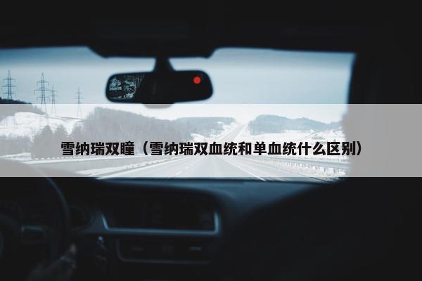 雪纳瑞双瞳（雪纳瑞双血统和单血统什么区别）