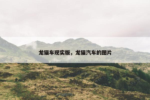 龙猫车现实版，龙猫汽车的图片