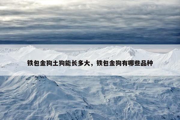 铁包金狗土狗能长多大，铁包金狗有哪些品种