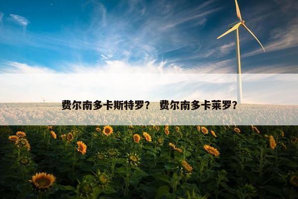 费尔南多卡斯特罗？ 费尔南多卡莱罗？