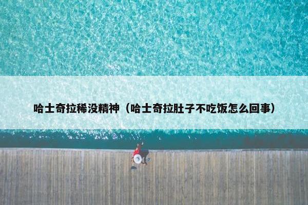 哈士奇拉稀没精神（哈士奇拉肚子不吃饭怎么回事）