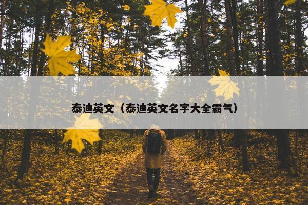 一个 第3页