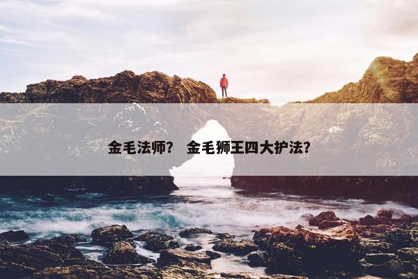 金毛法师？ 金毛狮王四大护法？