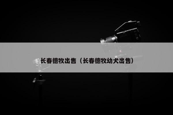 长春德牧出售（长春德牧幼犬出售）