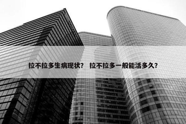 拉不拉多生病现状？ 拉不拉多一般能活多久？