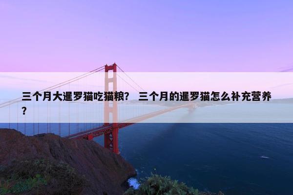三个月大暹罗猫吃猫粮？ 三个月的暹罗猫怎么补充营养？