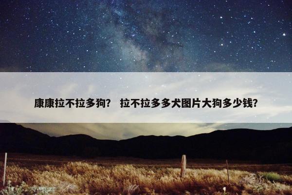 康康拉不拉多狗？ 拉不拉多多犬图片大狗多少钱？